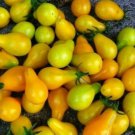 YELLOW PLUM TOMATO SEEDS 100+ GARDEN vegetables SALAD NON-GMO