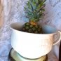 IRONSTONE THOMAS HUGHES WHEAT WHITE IRONSTONE HARVEST WHEAT CHAMBER POT