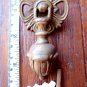 ACORN DRAWER PULL CENTURY HARDWARE ANTIQUE CABINET DOOR DROP PULL