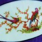 PRUSSIA PLATE ROYAL RUDOLSTADT PLATE RELISH DISH ASIATIC BIRD