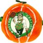Boston Celtics Ball Toy