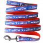 Texas Rangers Leash Large