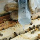 35g Oxalic acid crystals, high purity >99.5% - Varroa, Beekeeping, Beehive - 35g