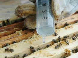 35g Oxalic acid crystals, high purity >99.5% - Varroa, Beekeeping, Beehive - 35g