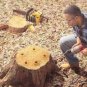 450g Stump Remover - Stump tree out, Speeds decomposition for easy removal - 450g