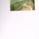 941 S Curve on  Sylvan  Pass Yellowstone National Park