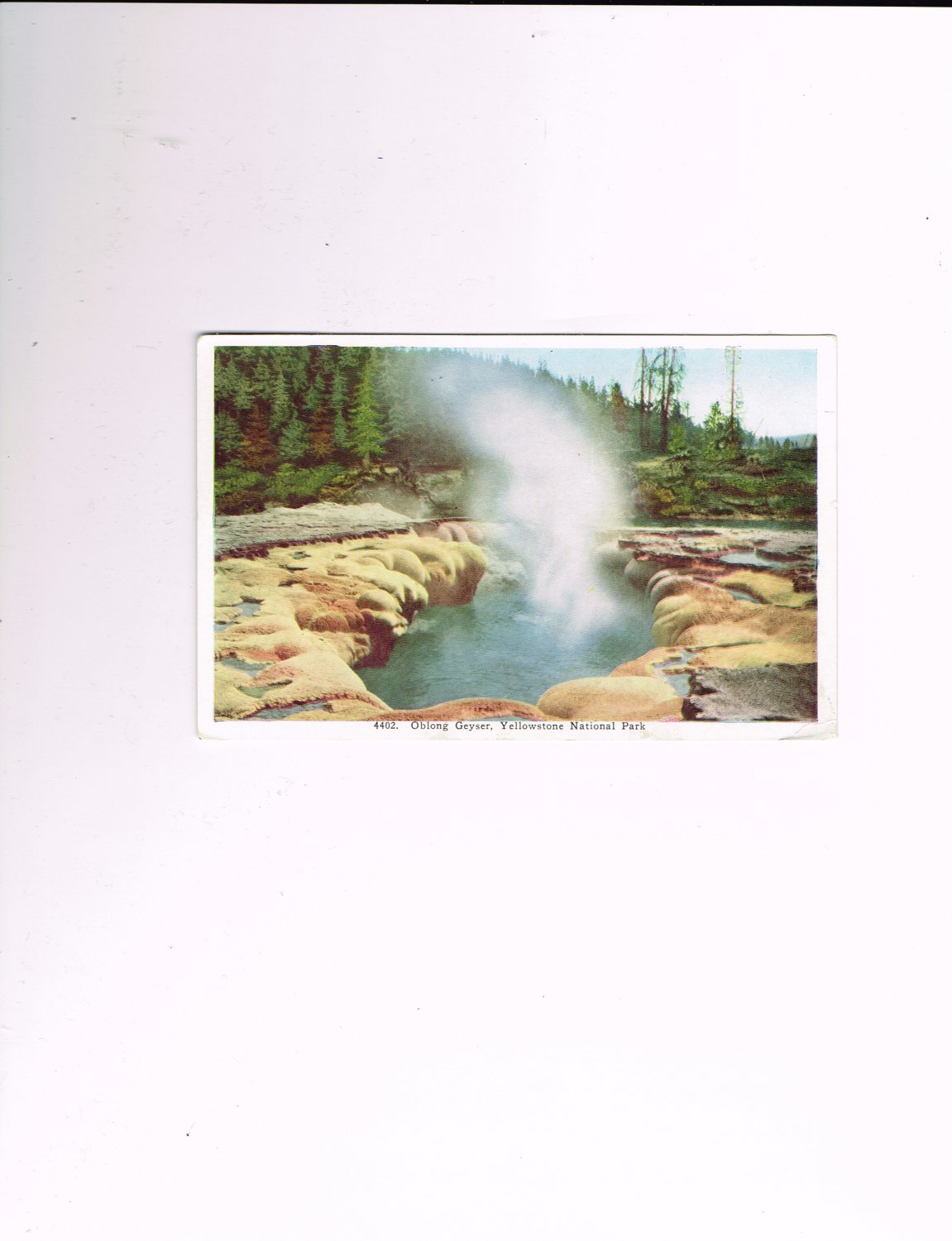 4402 Oblong Geyser Yellowstone Park