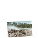 #6690  Punch Bowl Spring Yellowstone Park