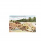 #8137 Cleopatra Terrace Mammoth Hot Springs Yellowstone National Park