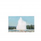 #10720 Great Fountain Geyser Lower Geyser Basin Yellowstone Park