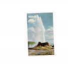 #16062 Castle Geyser 75 ft Yellowstone Park