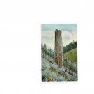 #25023 Petrified Tree Yellowstone National Park