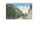 #36596 Sylvan Pass from the East Yellowstone National Park