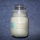 Pineapple Coconut 5 Ounce Apothecary Jar Candle
