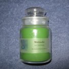 Watermelon 5 Ounce Apothecary Jar Candle