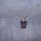 Flower Shop Scented Votive Candle