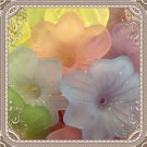 LUCITE FLOWER BEADS FROSTED ACRYLIC 30MM 20 MIXED