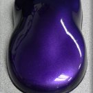 12 oz.Purple One Shot Killer Cans Spray Paint