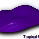 12 oz. Tropical Tones Orchid Purple Killer Cans Spray Paint