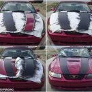1 Gallon Standard Paint Wrap: A Plasti-Dip Substitute