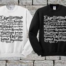 Magic message Harry Potter, Hoodie, Sweatshirt, Sweater, Shirt, Unisex Adult