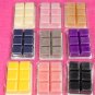 Scentsationals Wax Melt Cubes Special Day of the Dead Edition Set of 9