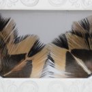 False Eyelashes Halloween Brown and Black Feathers