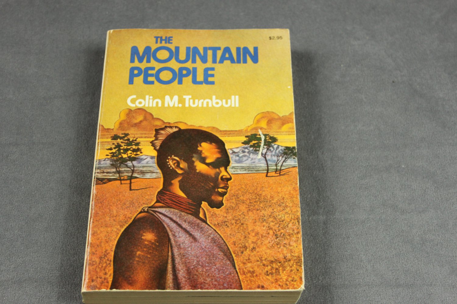 The Mountain People