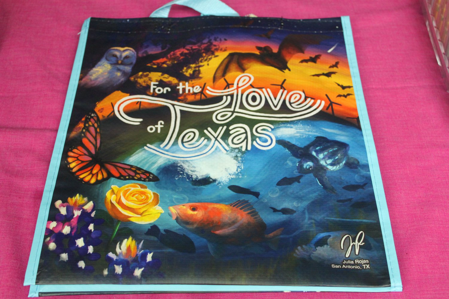 Reusable Shopping Bag - Earth Day