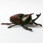 Choco Egg - Animals Of Japan Classic - Japanese Rhinoceros Beetle - Kaiyodo