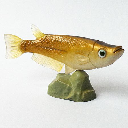 Choco Egg - Animals Of Japan Classic - Japanese Rice Fish - Kaiyodo