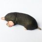 Choco Egg - Animals Of Japan Series 4 - Small Japanese Mole - Kaiyodo