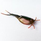 Choco Egg - Animals Of Japan Series 4 - Tadpole Shrimp - Kaiyodo