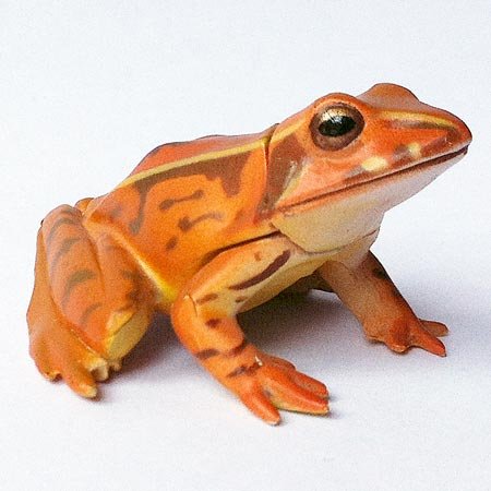 Choco Egg - Animals Of Japan Series 5 - Japanese Brown Frog - Kaiyodo