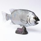 Choco Egg - Animals Of Japan Series 5 - Striped Beakfish - Kaiyodo