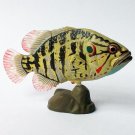 ChocoQ - Animals Of Japan Series 6 - Coreoperca - Kaiyodo