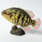 ChocoQ - Animals Of Japan Series 6 - Coreoperca - Kaiyodo