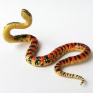 ChocoQ - Animals Of Japan Series 6 - Dinodon Semicarinatum - Kaiyodo