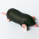 ChocoQ - Animals Of Japan Series 7 - Japanese Mountain Mole - Kaiyodo