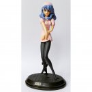 High School Terra Story - Figure 1 - DGP Millennium