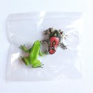 Primary Colors Amphibian Frog Picture Book - Rainbow Burrowing Frog & Japanese Tree Frog - Yujin