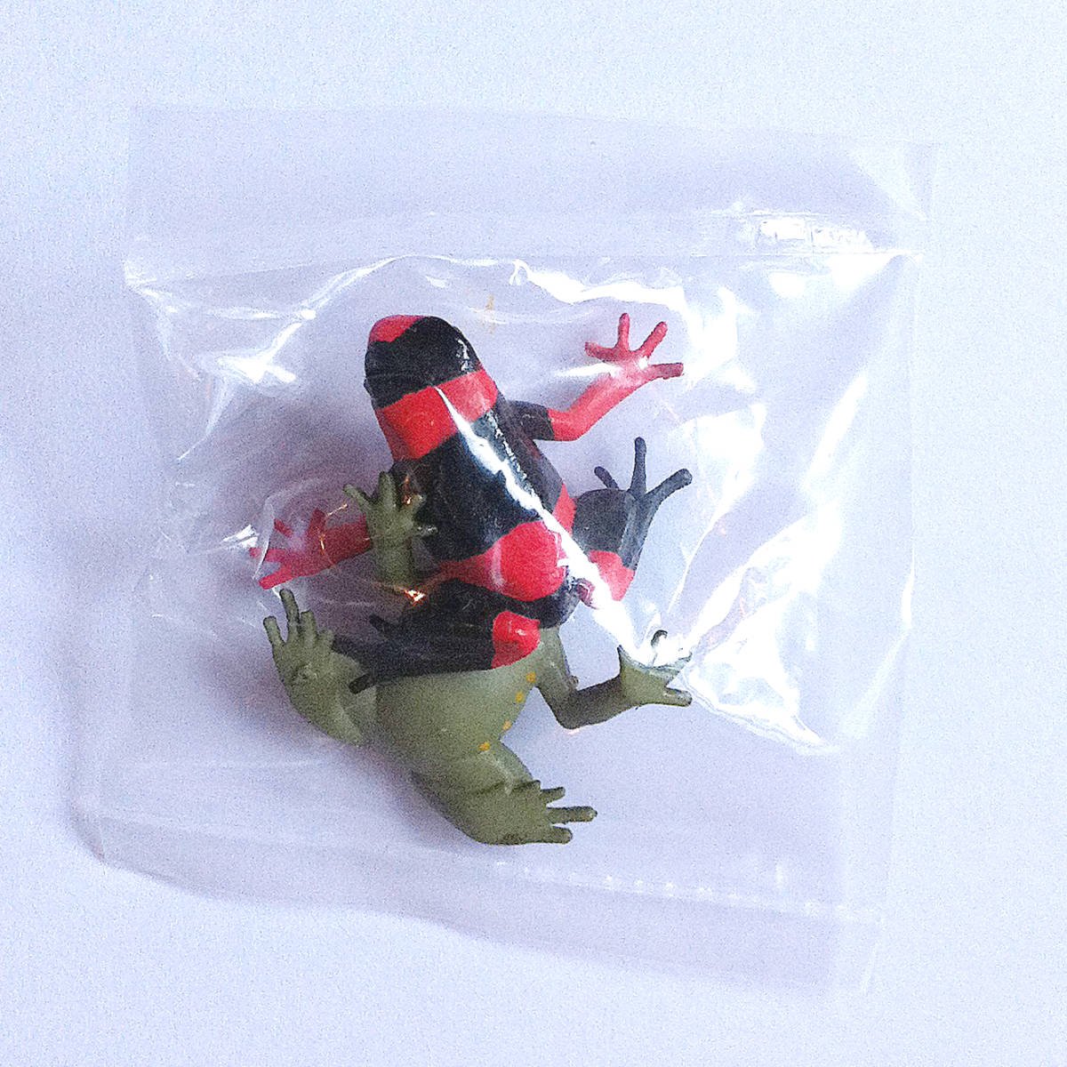 Primary Colors Picture Book - Yellow Banded Poison Dart Frog Orange & Pedostibes Hosii - Yujin