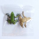 Primary Colors Amphibian Frog Picture Book - Three Striped Poison Frog & Ryukyu Kajika Frog - Yujin