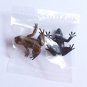 Primary Colors Amphibian Frog Picture Book - Three Striped Poison Frog & Ryukyu Kajika Frog - Yujin