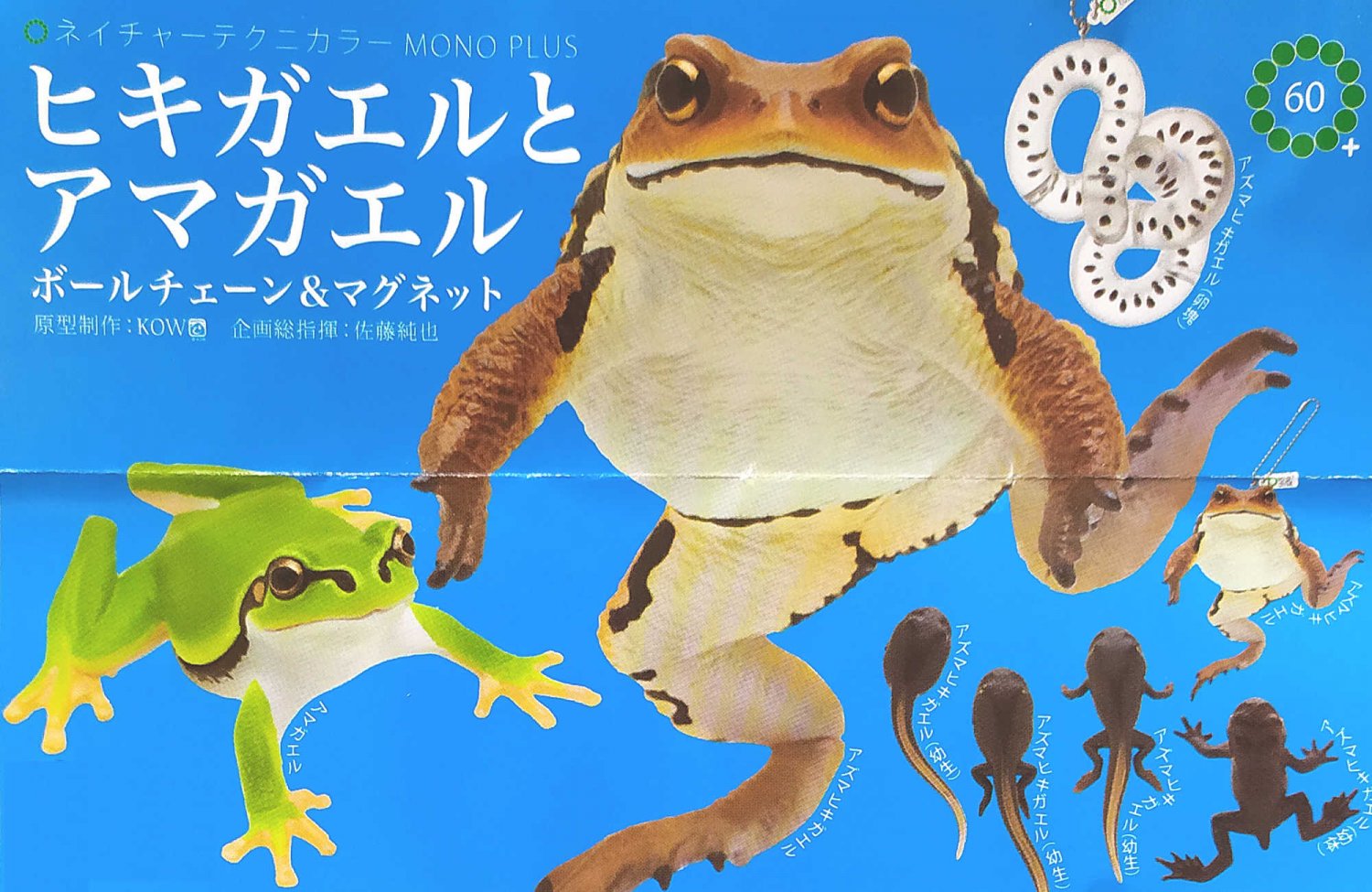 Nature Techi Color Toad and Tree Frog Ball Chain & Magnet Figures Complete Set Ikimon