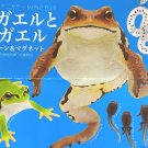 Nature Techi Color Toad and Tree Frog Ball Chain & Magnet Figures Complete Set Ikimon