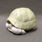 Dango Mushi Kame Turtle Greek Tortoise (Testudo graeca) Albino Gashapon Figure Bandai