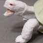Dango Mushi Kame Turtle Greek Tortoise (Testudo graeca) Albino Gashapon Figure Bandai