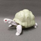 Dango Mushi Kame Turtle Indian Star Tortoise (Geochelone elegans) Albino Gashapon Figure Bandai