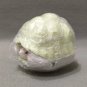 Dango Mushi Kame Turtle Indian Star Tortoise (Geochelone elegans) Albino Gashapon Figure Bandai